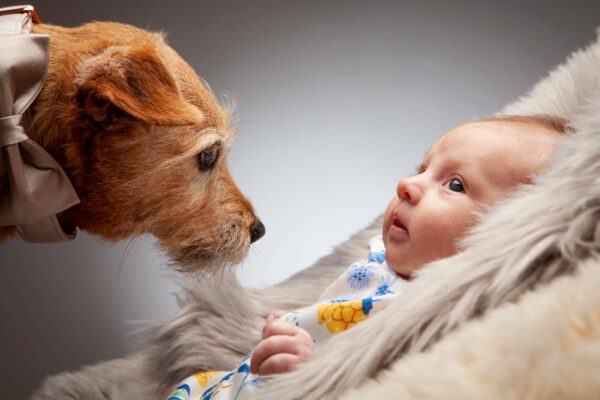 family portrait photo of new born and dog